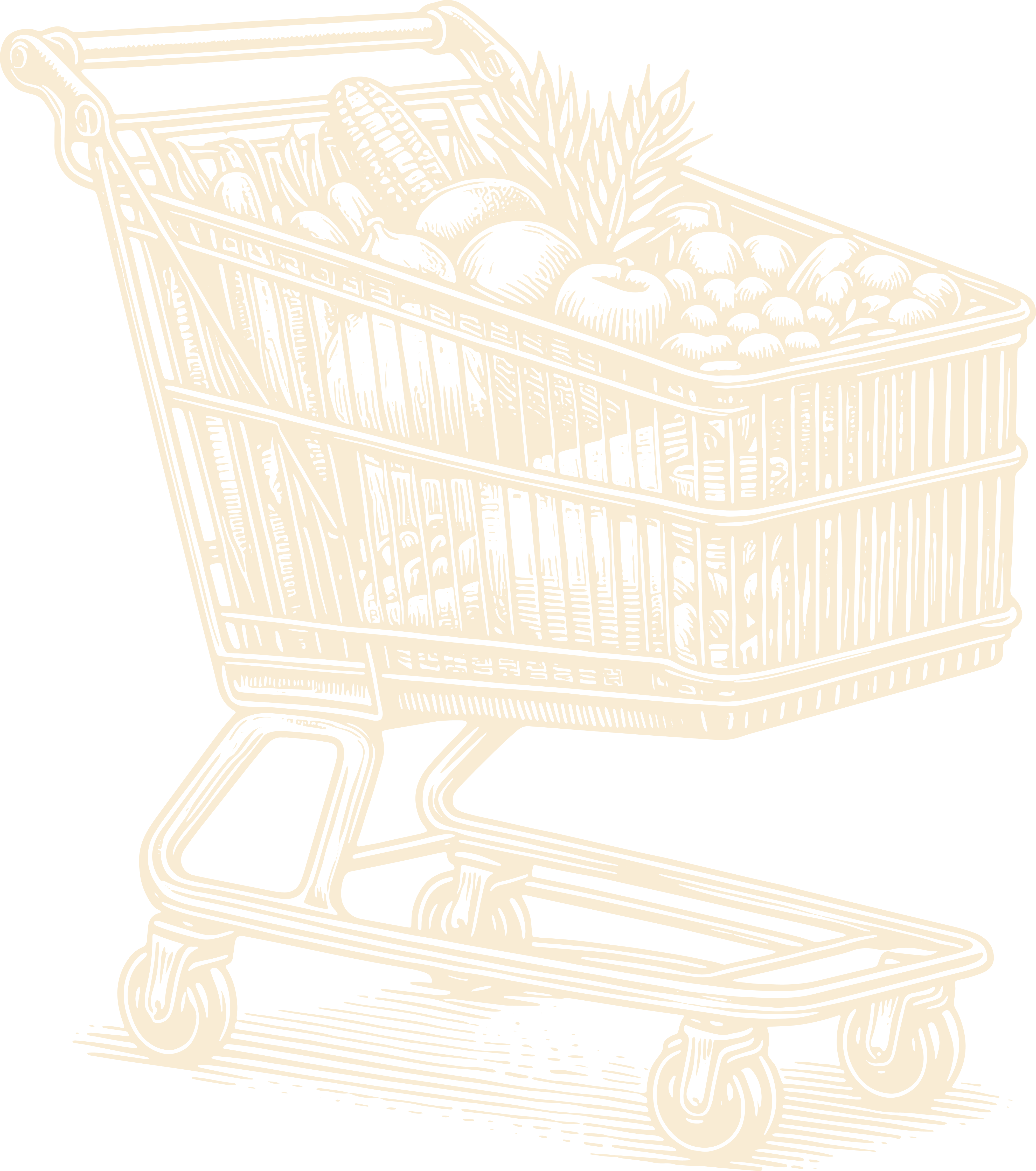 Carrito