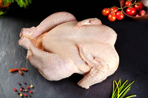 Pollo de granja